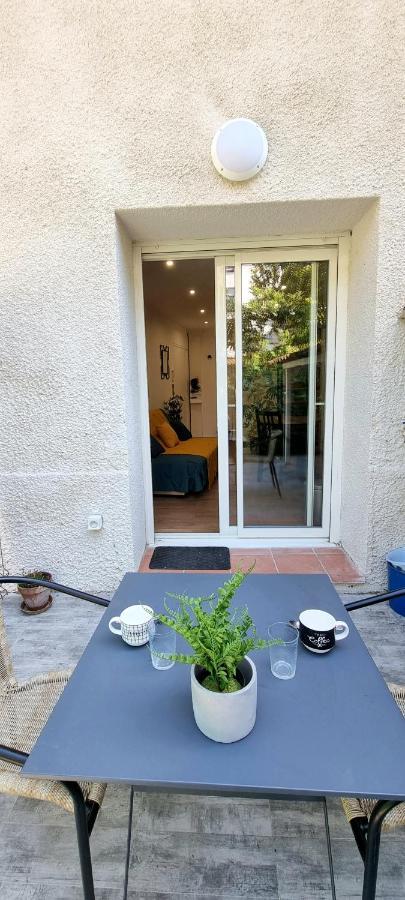 Studio Simone - Terrasse Et Jardin - Tv - Wifi Toulouse Exterior foto